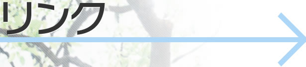 �����N�W